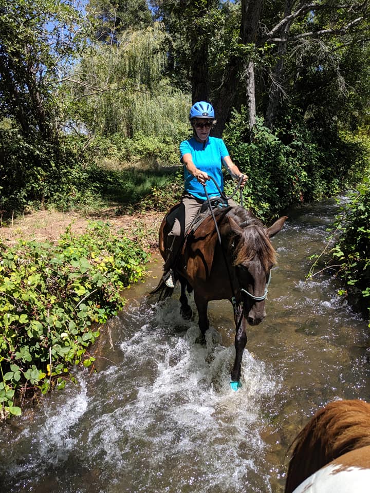 horse crossing water