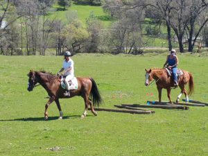 group horse riding lessons