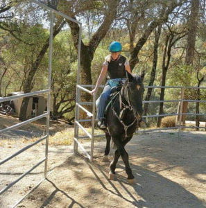 opening a gate with your horse