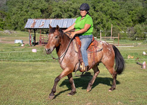 woman riding an appaloosa horse