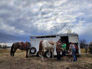 From a Group session at our barn