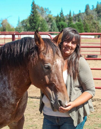Alexis-Brasier Alexis Brasier, horse trainer